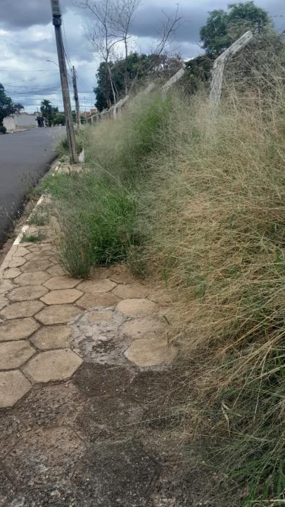 Foto 15 de 16 — Praça do Selmi Dei fica mais de 5 meses sem limpeza e moradores relatam aparecimento de cobras